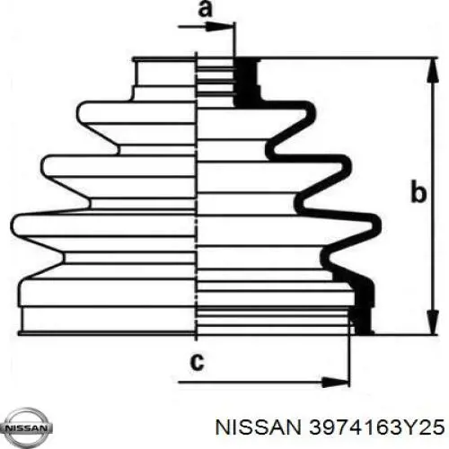  3974163Y25 Nissan