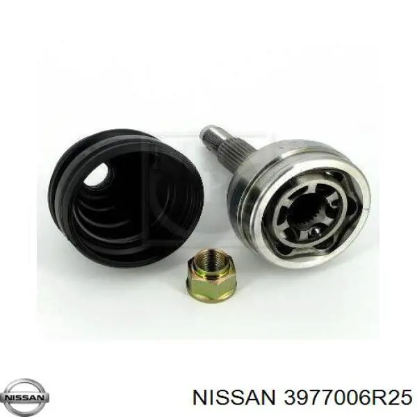  3977006R25 Nissan