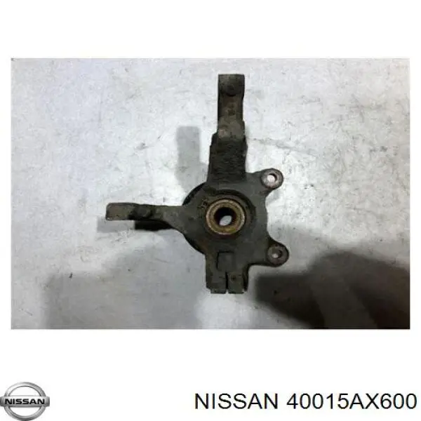 Цапфа (поворотный кулак) передний левый Bugiad BSP25592 цена, от 28.16 USD