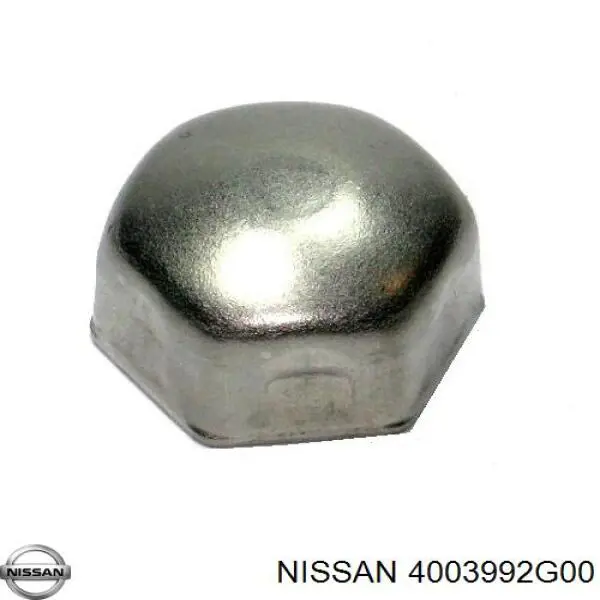  4003992G00 Nissan