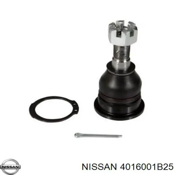 Шаровая опора, нижняя RTS 9302377 цена, от 8.46 USD