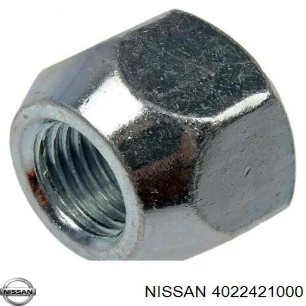 4022421000 Nissan