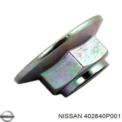  402640P001 Nissan