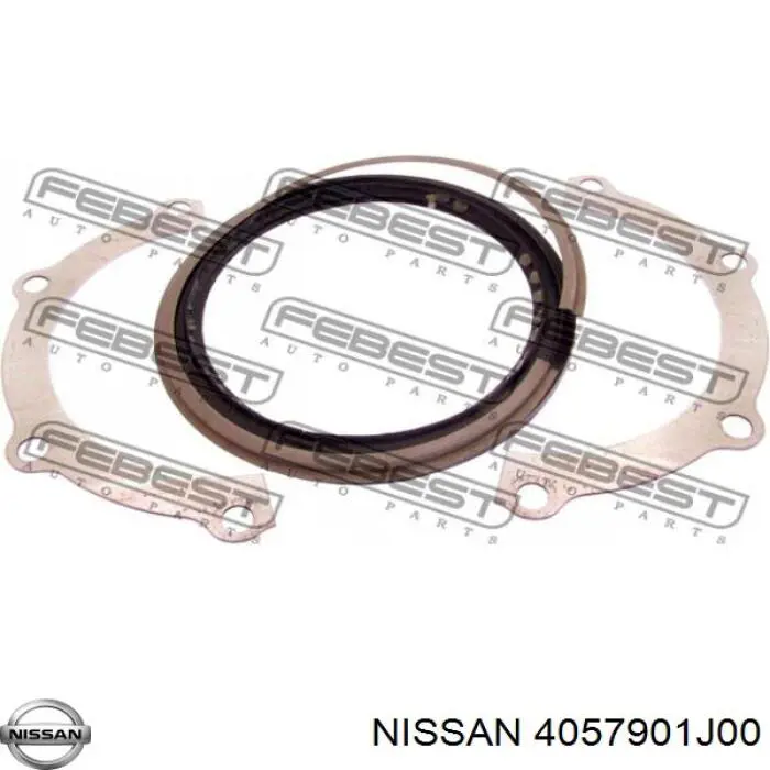 Сальник переднего поворотного кулака Nissan 4057901J00