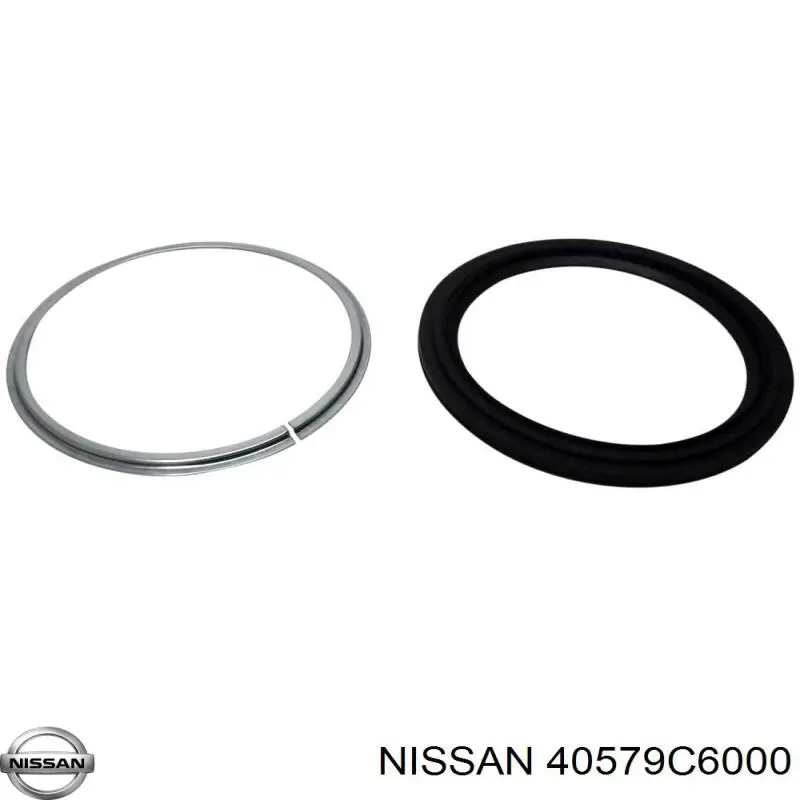 Сальник переднего поворотного кулака Nissan 40579C6000