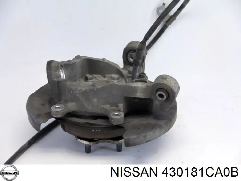 Купить 430181CA0B Nissan/Infiniti Цапфа - поворотный кулак задний, правый