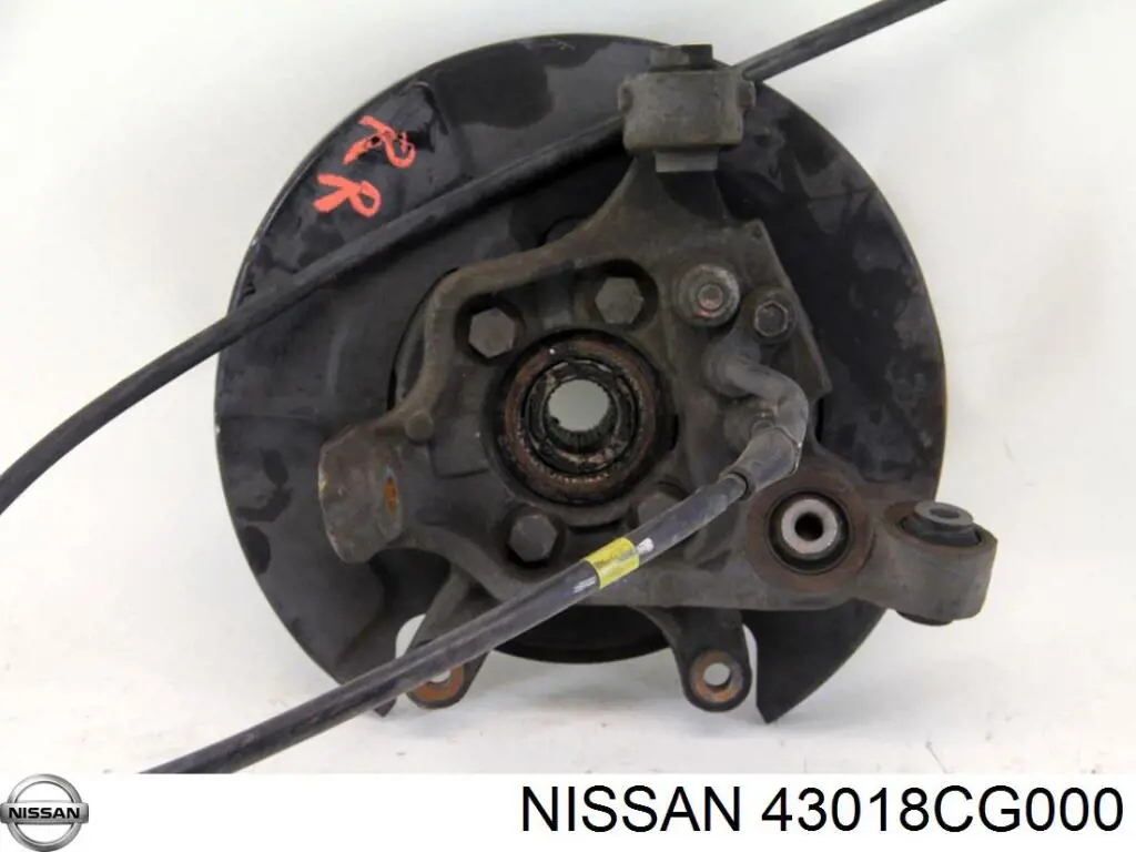 Купить 43018CG000 Nissan/Infiniti Цапфа - поворотный кулак задний, правый