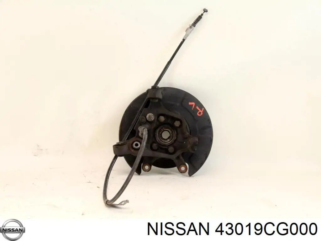 Цапфа - поворотный кулак задний, левый Nissan/Infiniti 43019CG000 цена, от 44.94 USD