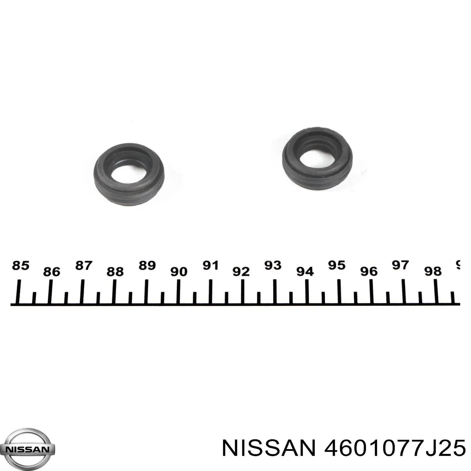 4601077J25 Nissan 