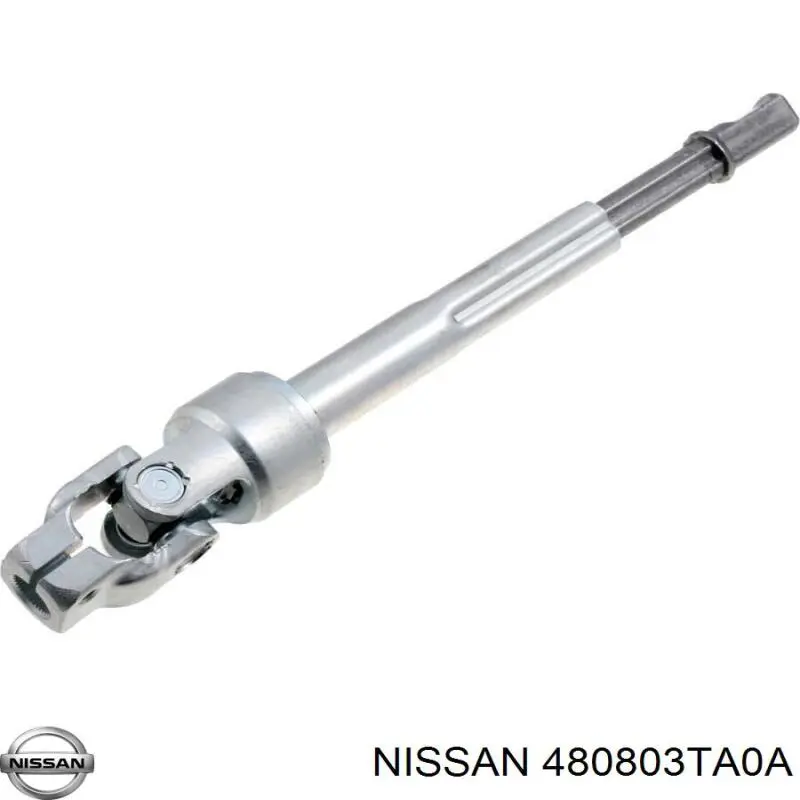 480803TA0A Nissan 