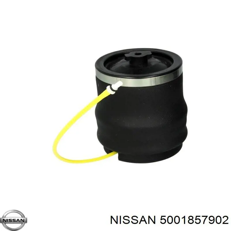 Пневмоподушка кабины 5001857902 Nissan