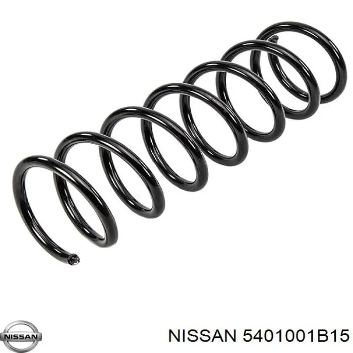 NI51085 Tashiko Пружина передней подвески