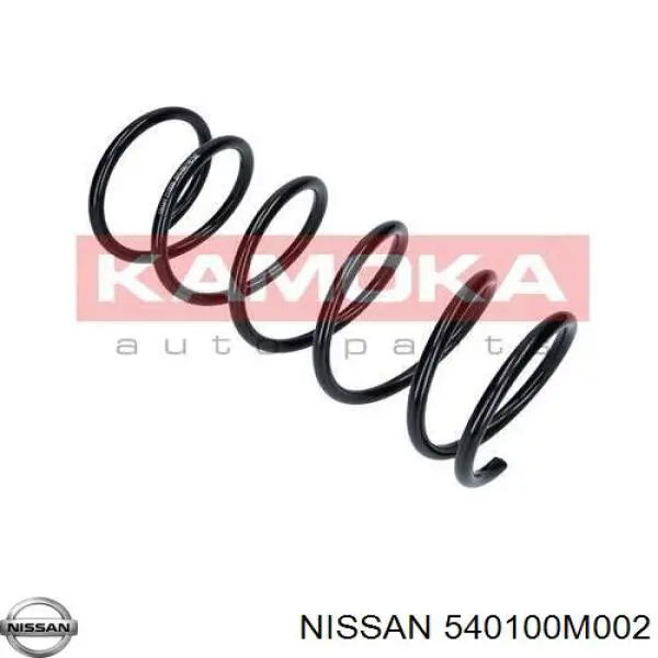 Передняя пружина 5401072E01 Nissan/Infiniti