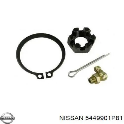  5450021P50 Nissan