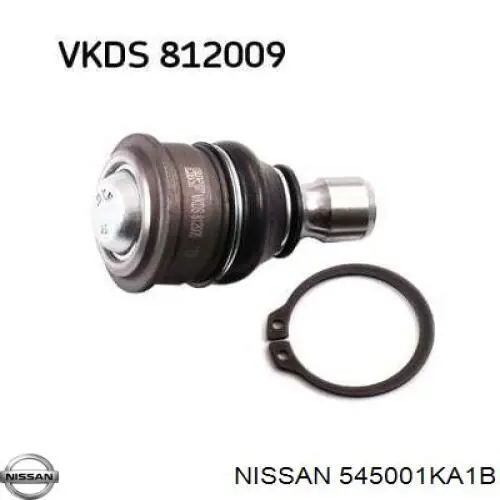 545001KA1B Nissan braço oscilante inferior direito de suspensão dianteira