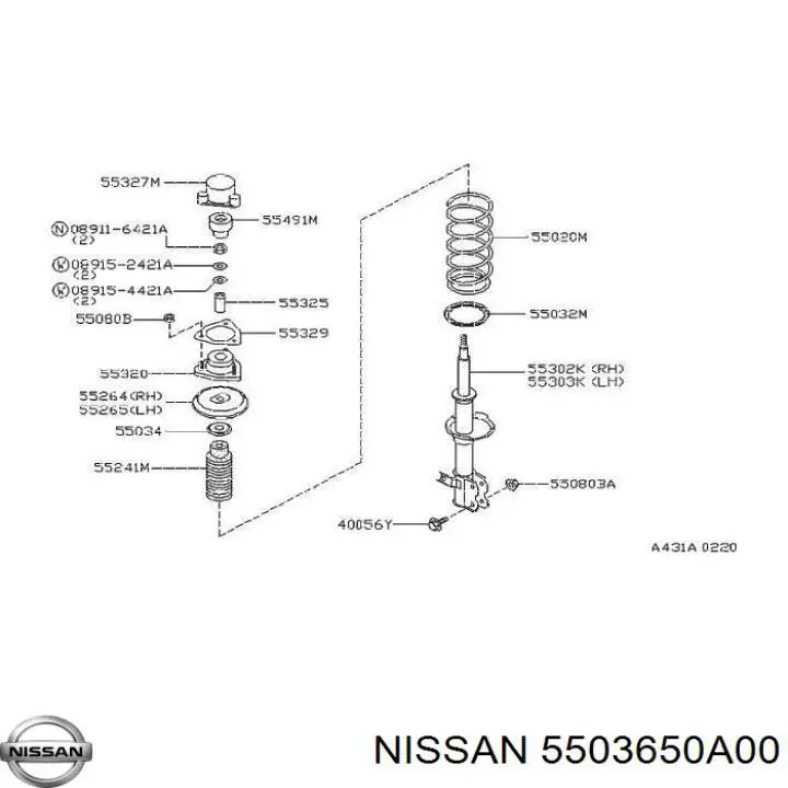 5503650A00 Nissan проставка (резиновое кольцо пружины передней нижняя)