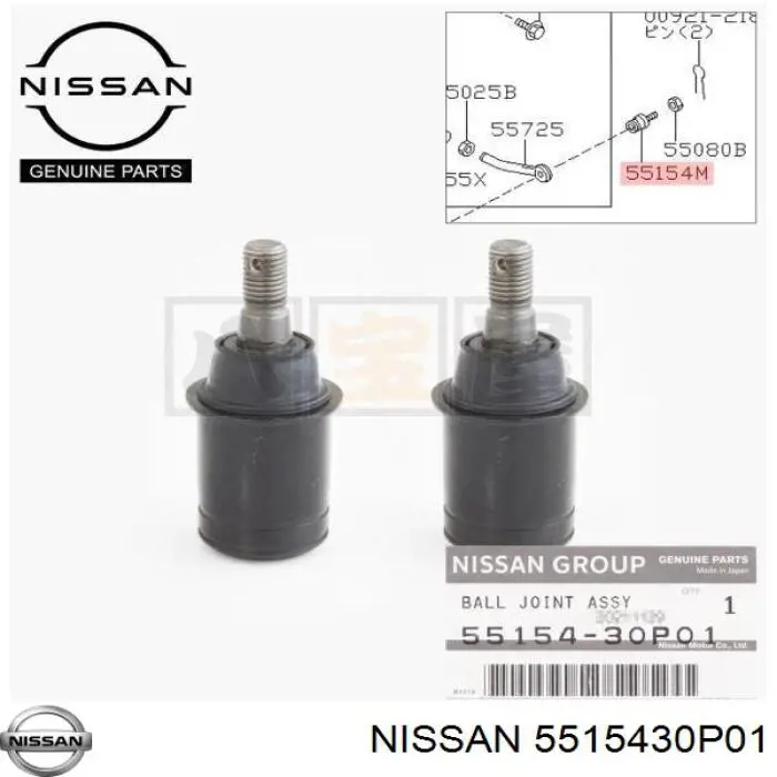  5515430P01 Nissan