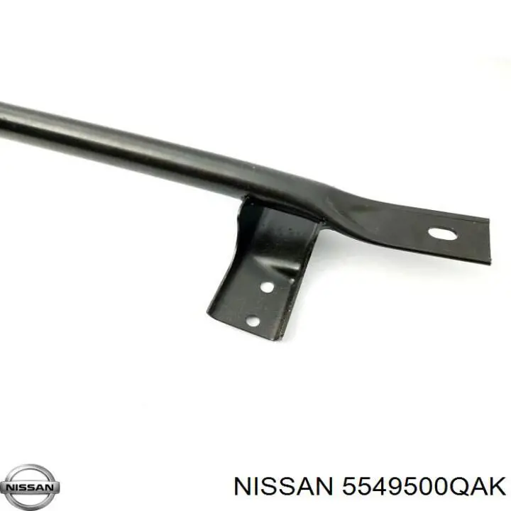 5549500QAK Renault (RVI) 