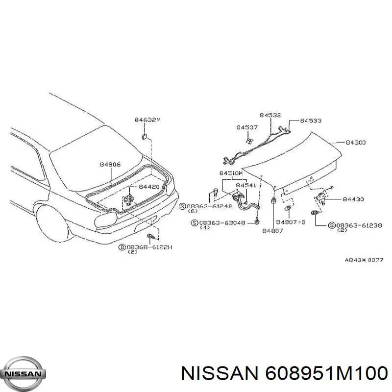  608951M100 Nissan