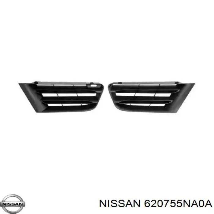 620755NA0A Nissan 