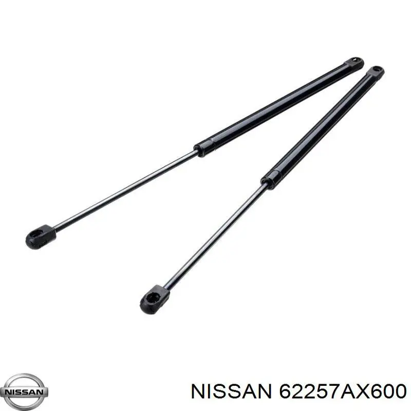 Заглушка ПТФ бампера переднего левая Nissan/Infiniti 62257AX600 цена, от 5.81 USD