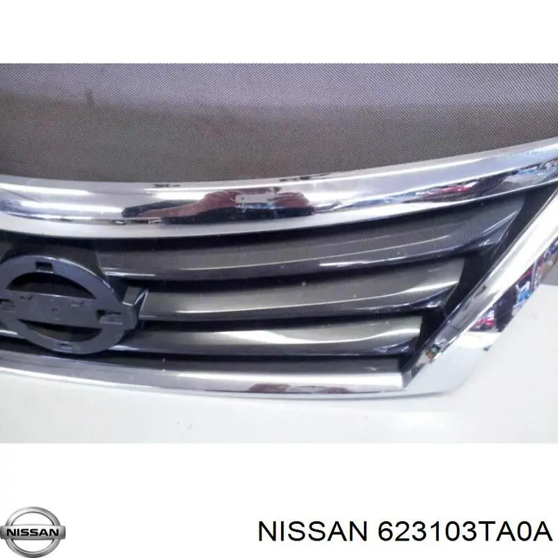 Облицовка радиатора Rhino NAT335454 цена, от 65.37 USD