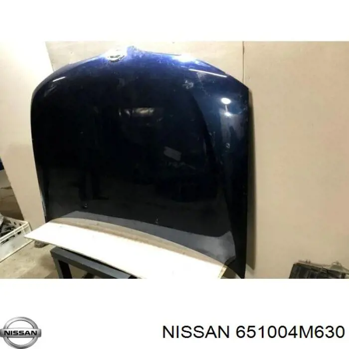 Купить 275503 Polcar Капот