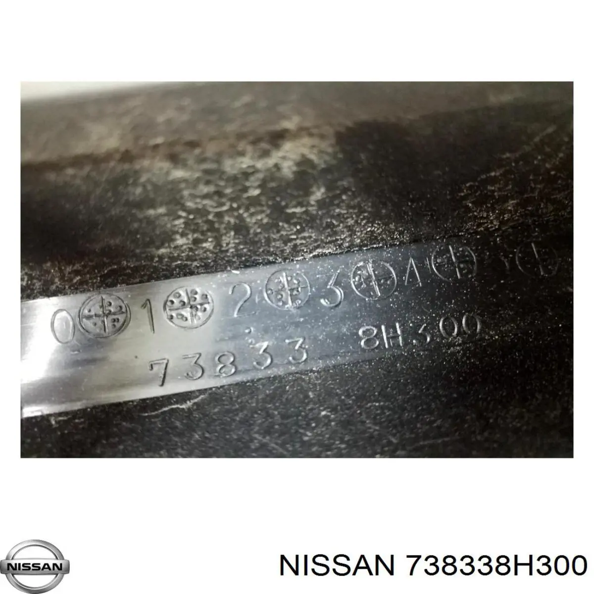 738338H300 Nissan/Infiniti 