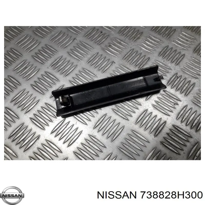 738828H300 Nissan/Infiniti 