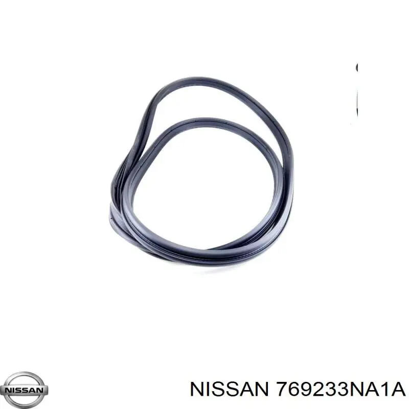 769233NA1A Nissan/Infiniti 