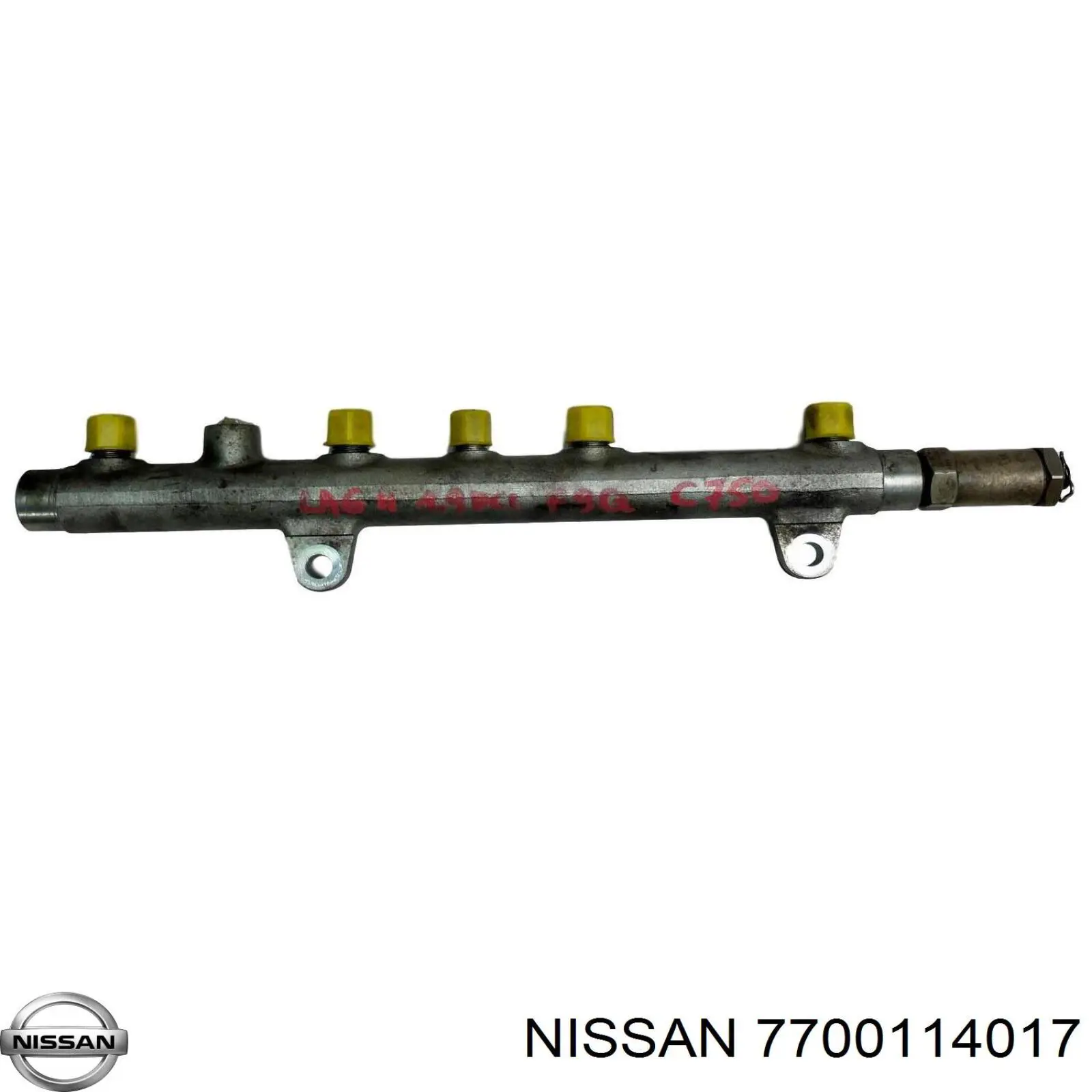 7700114017 Nissan distribuidor de combustível (rampa)