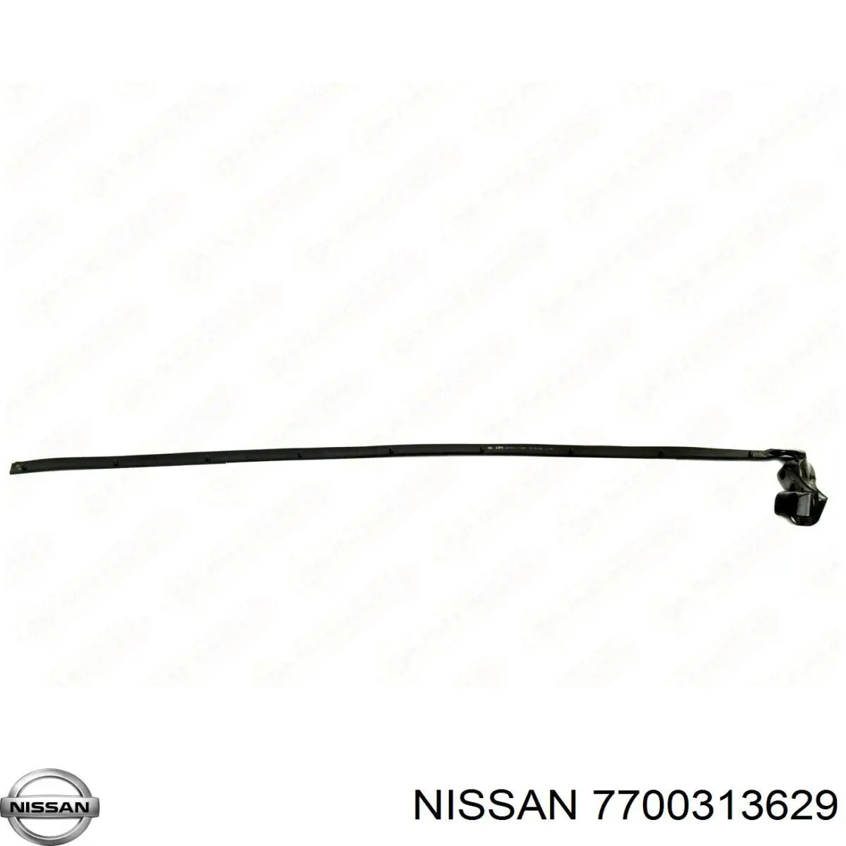  7700313629 Nissan