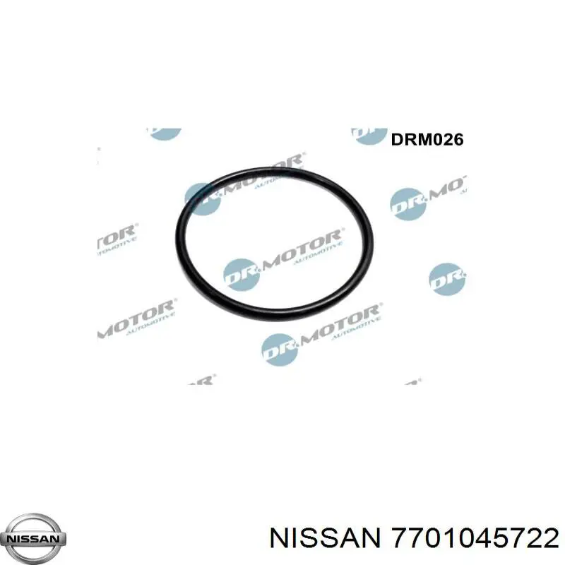  7701045722 Nissan