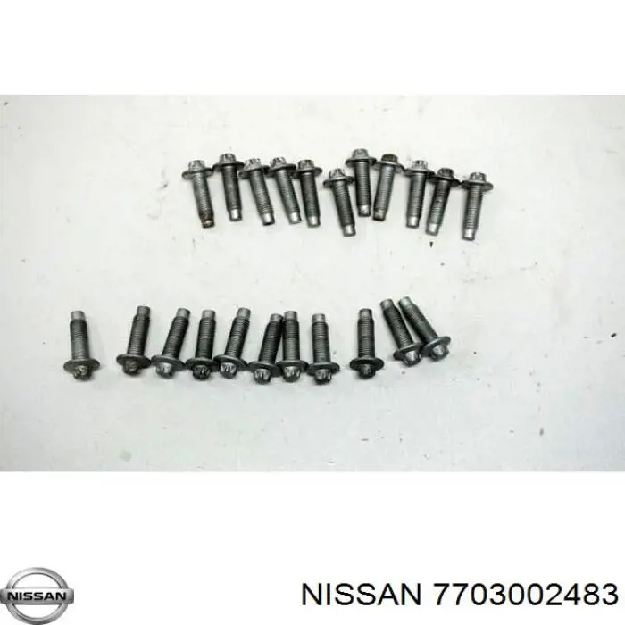 7703002483 Nissan 