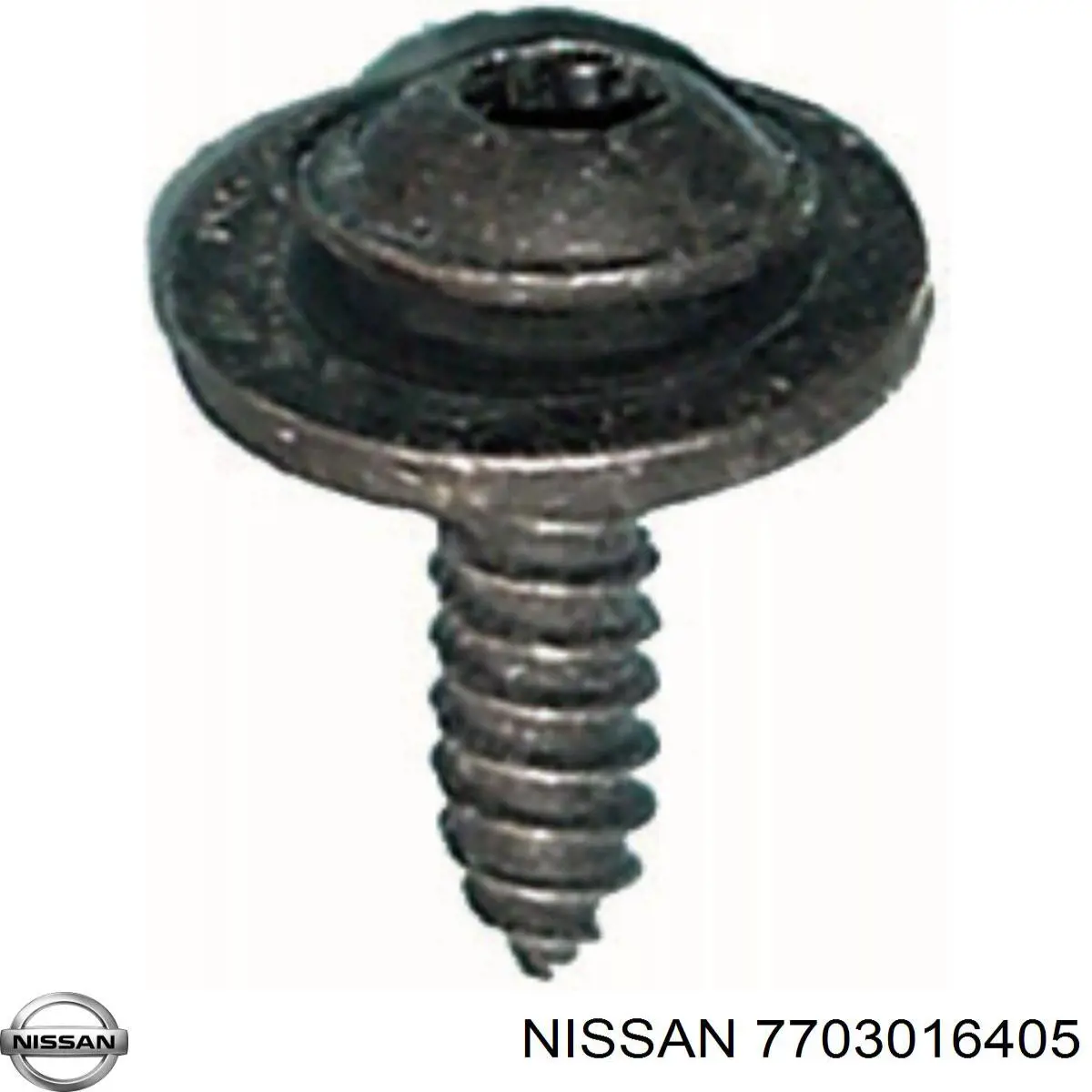 7703016405 Nissan 