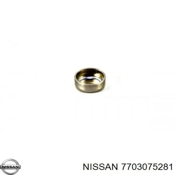 7703075281 Nissan tampão cbc/do bloco de cilindros