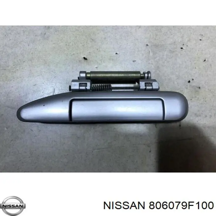 806079F100 Nissan/Infiniti 