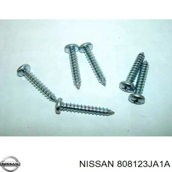  808123JA1A Nissan/Infiniti