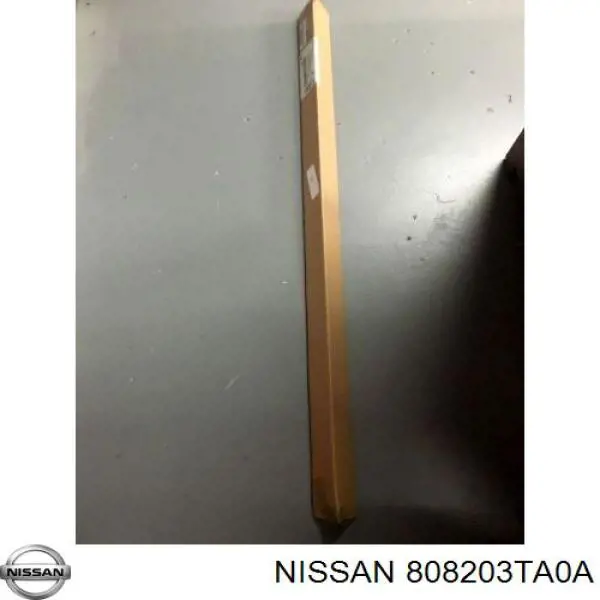 808203TA0A Nissan/Infiniti 
