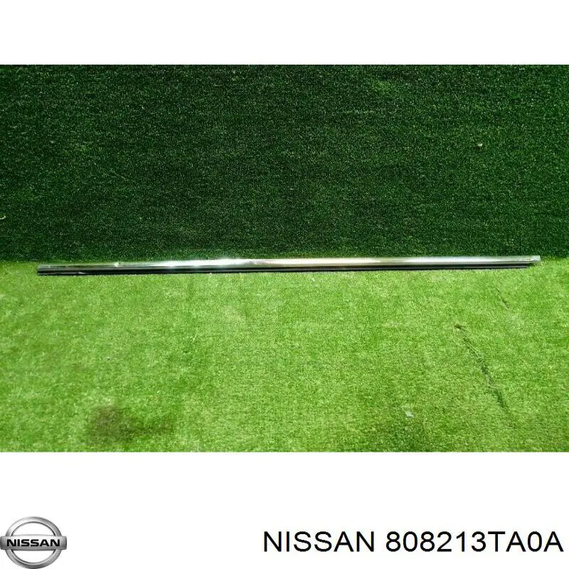 808213TA0A Nissan/Infiniti 