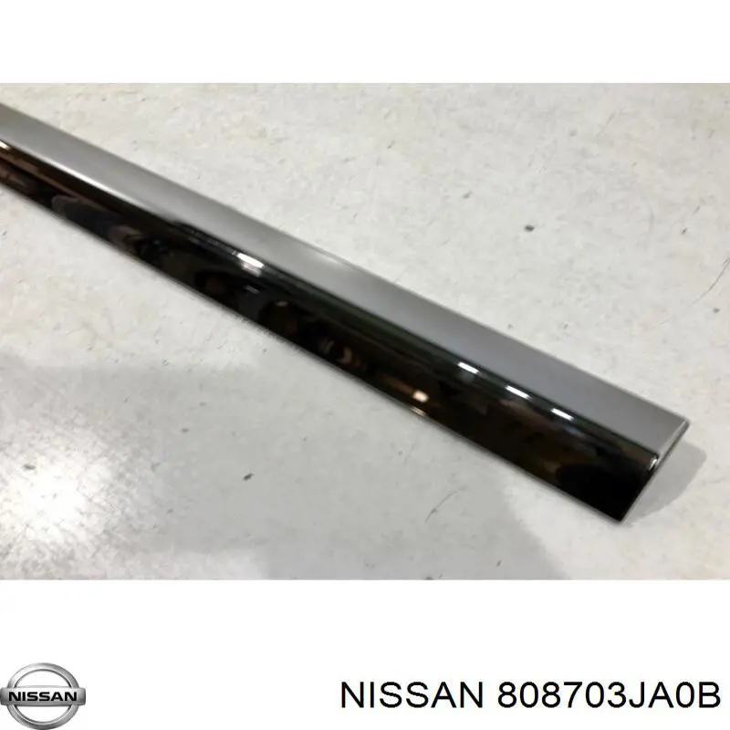 808703JA0B Nissan/Infiniti 