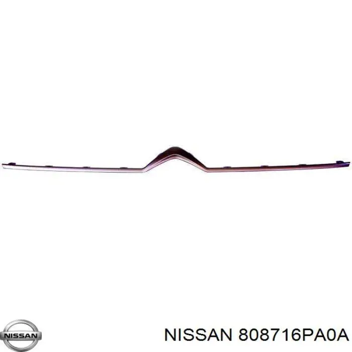  808716PA0A Nissan