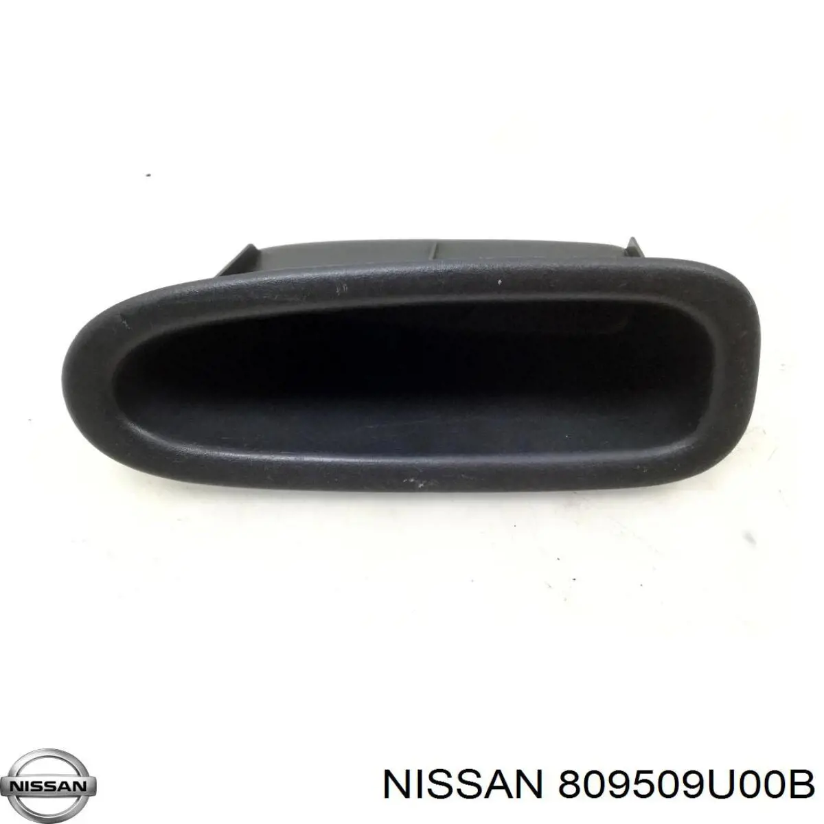 809509U00B Nissan/Infiniti 