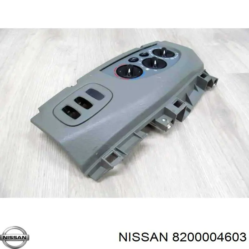 8200004603 Nissan 