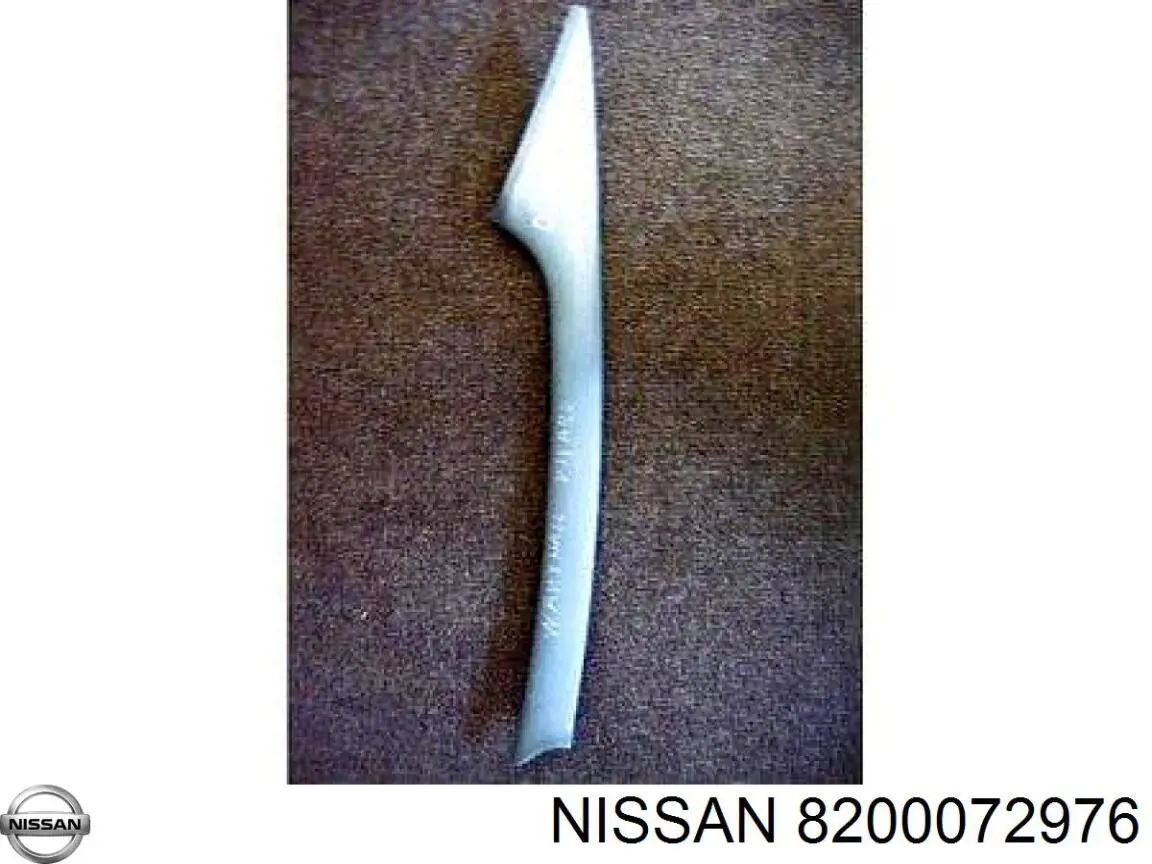 8200072976 Nissan/Infiniti Поручни (держатели) и крючок для одежды