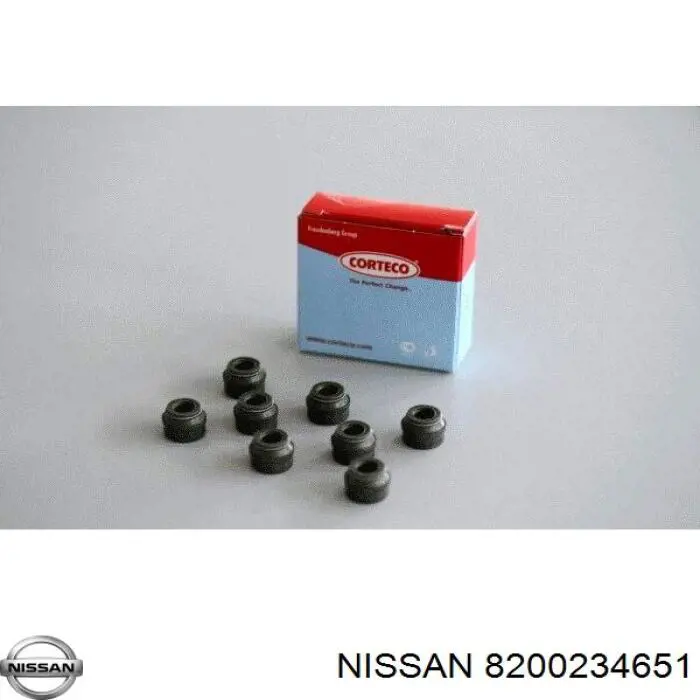 8200234651 Nissan сальник клапана (маслосъемный, впуск/выпуск)