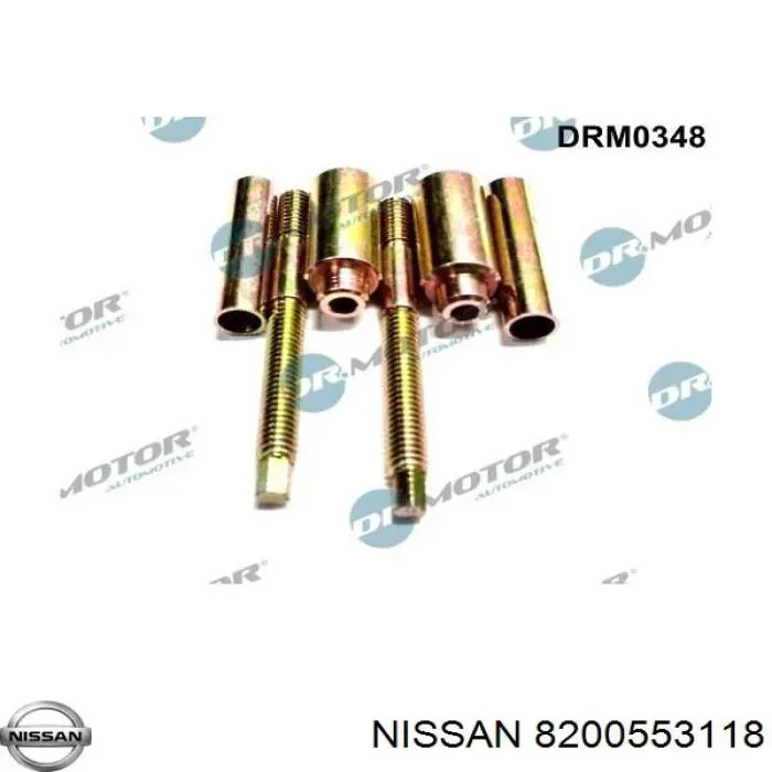 8200553118 Nissan parafuso de fixação do injetor