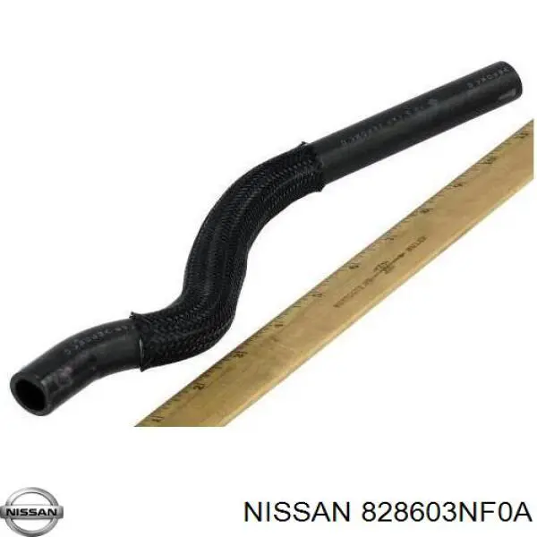 828603NF0A Nissan/Infiniti 