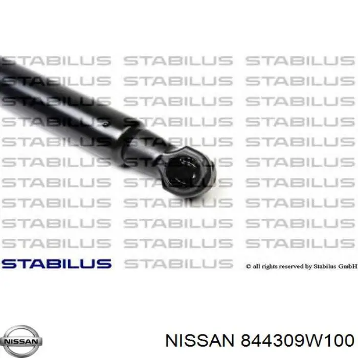 Амортизатор задней двери Nissan/Infiniti 844309W100 цена, от 9.75 USD