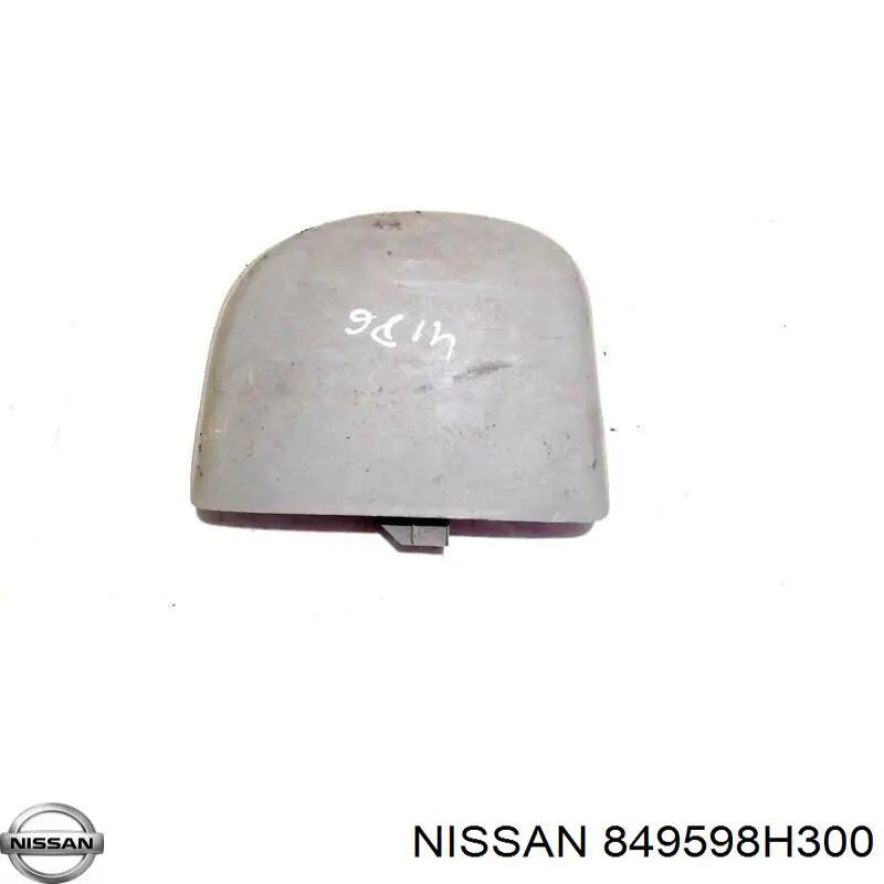 849598H300 Nissan 